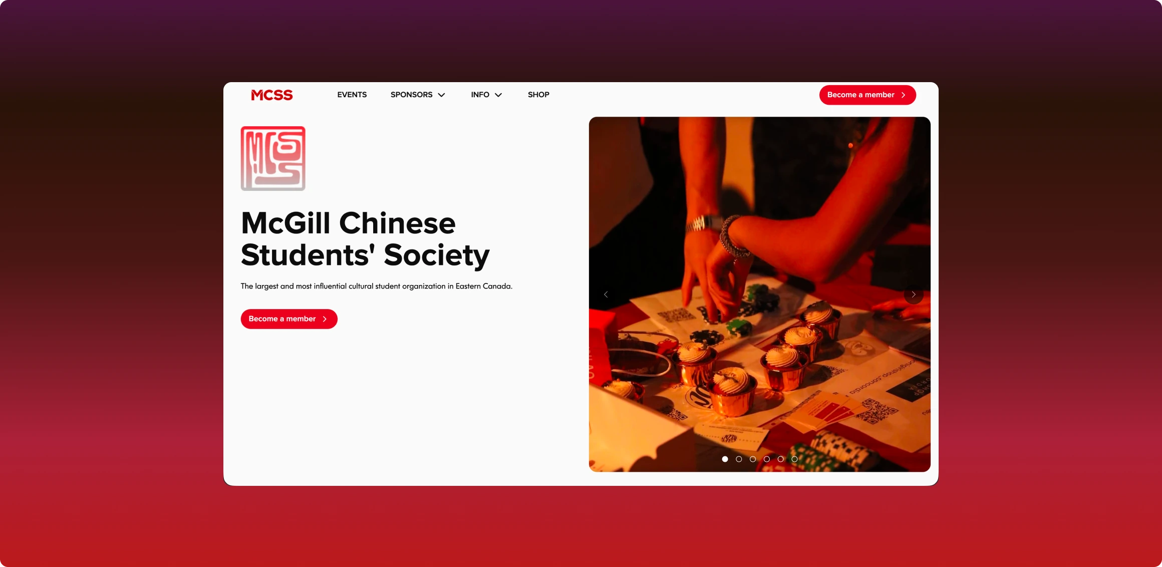 MCSS website preview